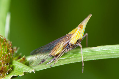 DSC_3247.jpg