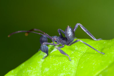 DSC_3255.jpg