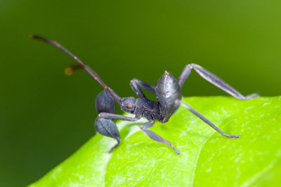 DSC_3257.jpg