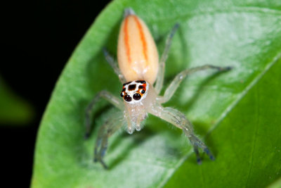 DSC_3317.jpg