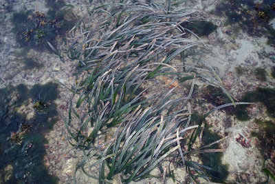 PB061822.jpg
