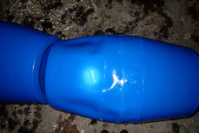 PB061838.jpg