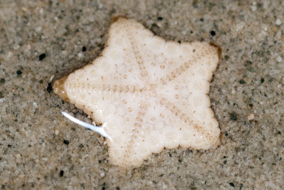 DSC_3614.jpg