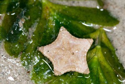 DSC_3616.jpg