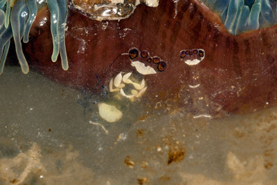 DSC_3738.jpg