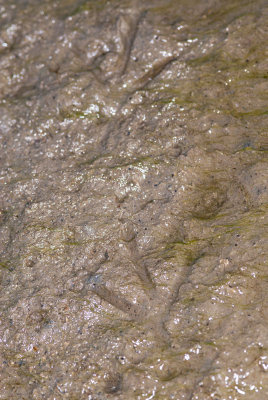 DSC_3749.jpg