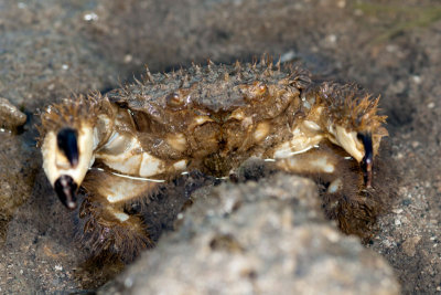 DSC_3758.jpg