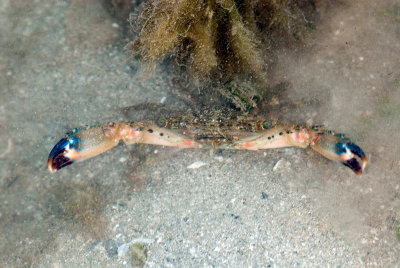 DSC_3759.jpg