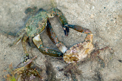 DSC_3761.jpg