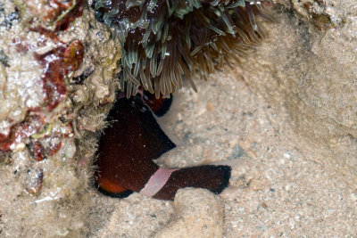 DSC_3780.jpg