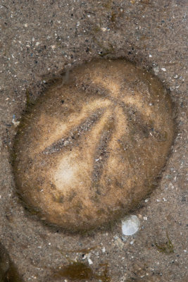 DSC_3785.jpg