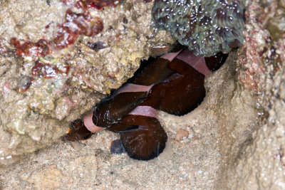 DSC_3787.jpg
