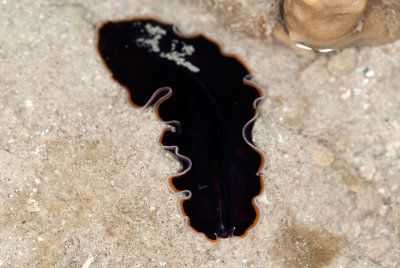 DSC_3791.jpg