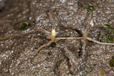 DSC_3799.jpg