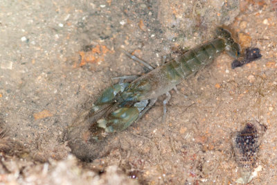 DSC_3806.jpg