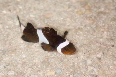 DSC_3810.jpg