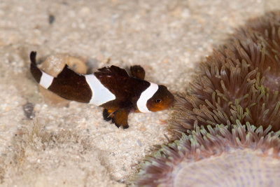 DSC_3811.jpg