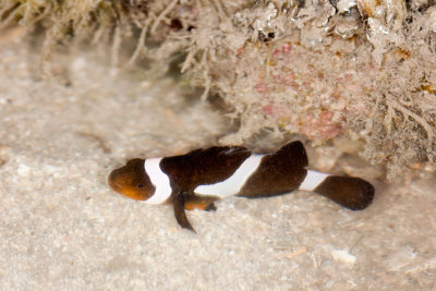 DSC_3815.jpg