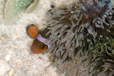 DSC_3817.jpg