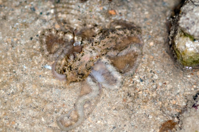 DSC_3823.jpg