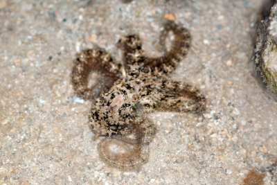 DSC_3824.jpg