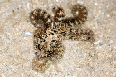 DSC_3825.jpg