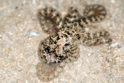 DSC_3826.jpg