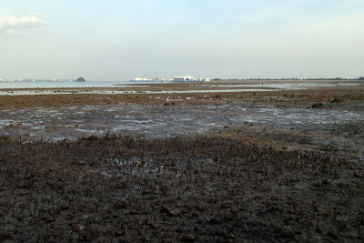 P2013287.jpg