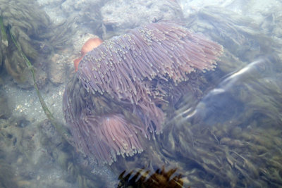P2013315.jpg