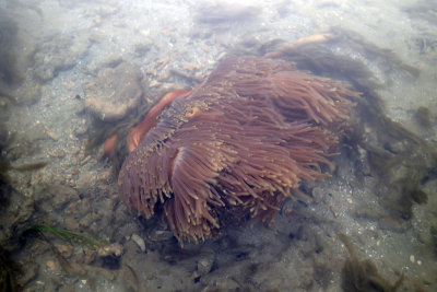 P2013317.jpg