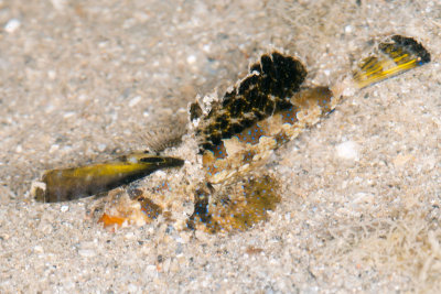 DSC_3836.jpg