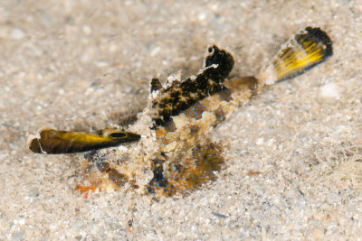 DSC_3837.jpg