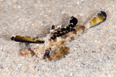 DSC_3838.jpg