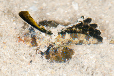 DSC_3842.jpg