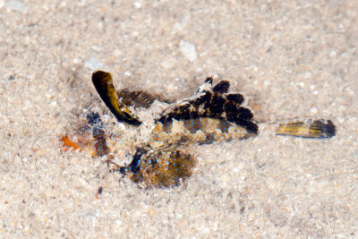 DSC_3846.jpg