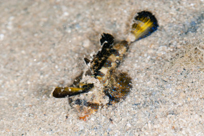 DSC_3859.jpg