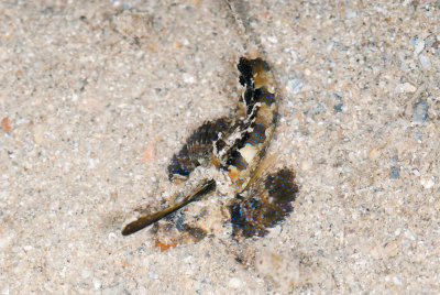 DSC_3861.jpg