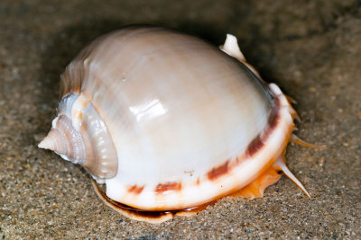 DSC_3852.jpg