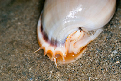 DSC_3853.jpg