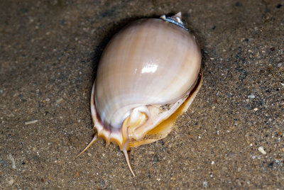 DSC_3855.jpg