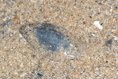 DSC_3864.jpg