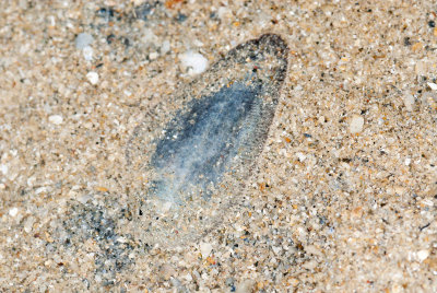 DSC_3866.jpg