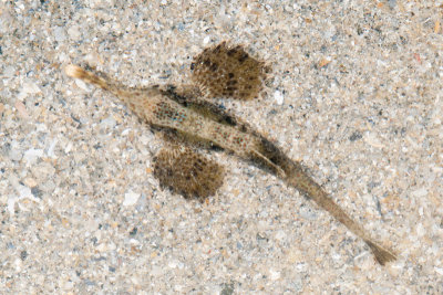 DSC_3868.jpg