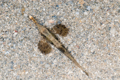 DSC_3869.jpg