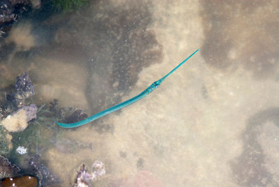 DSC_3872.jpg