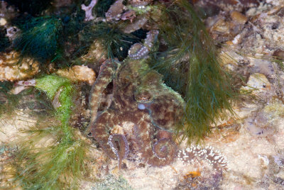 DSC_3877.jpg