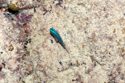 DSC_3940.jpg