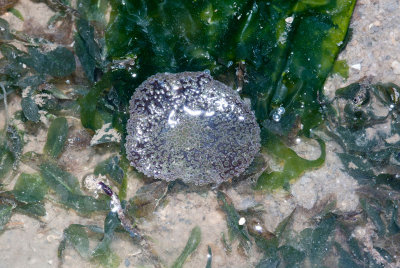 DSC_4020.jpg
