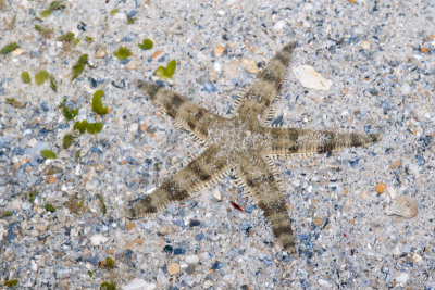 DSC_4023.jpg