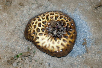 DSC_4047.jpg